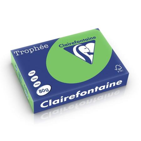 Gekleurd papier Clairefontaine - A4 80gr grasgroen